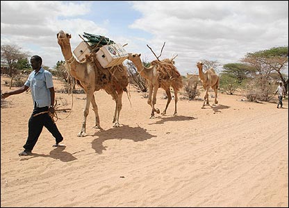 Mobile Libraries